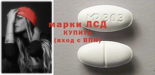 стаф Алзамай