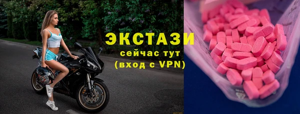 стаф Алзамай