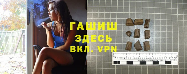 стаф Алзамай